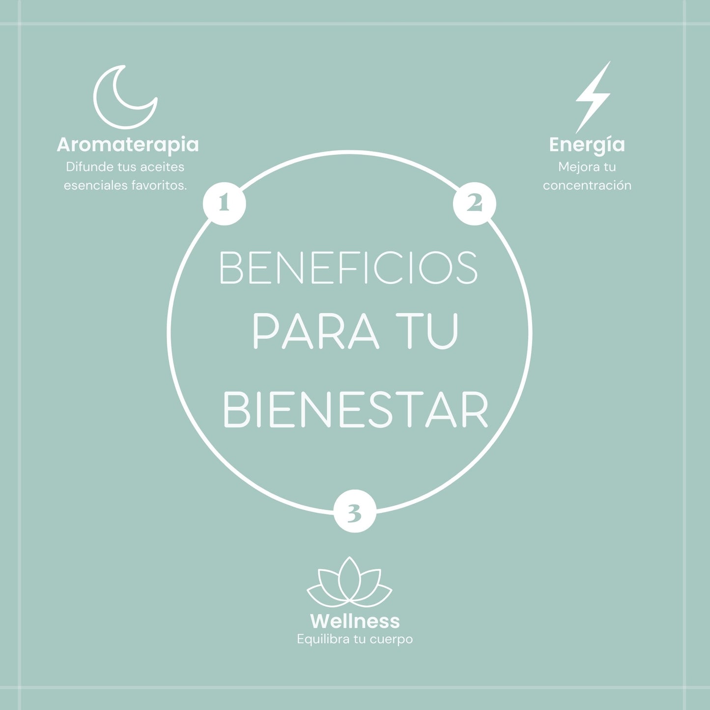 Aceites Esenciales EUQEE 10ml – Aromaterapia Natural para Humidificadores y Difusores